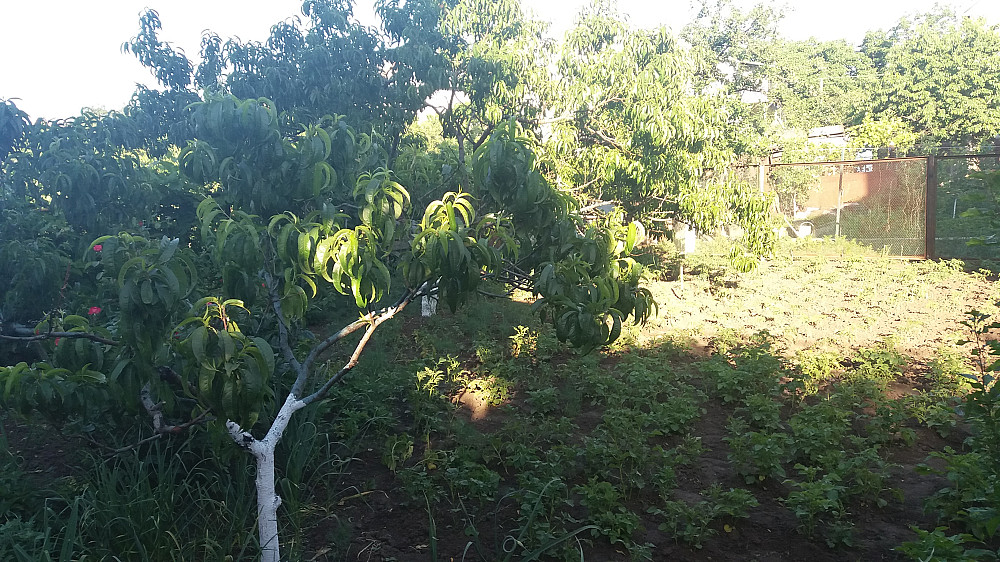 Продаж земельної ділянки 0.3 соток на переулок Красный, 15 Великая Балка - изображение 15