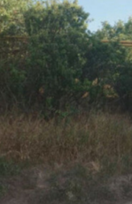 Продаж земельної ділянки 0.1 соток на ул. Массив 11, 12/10а Limanka