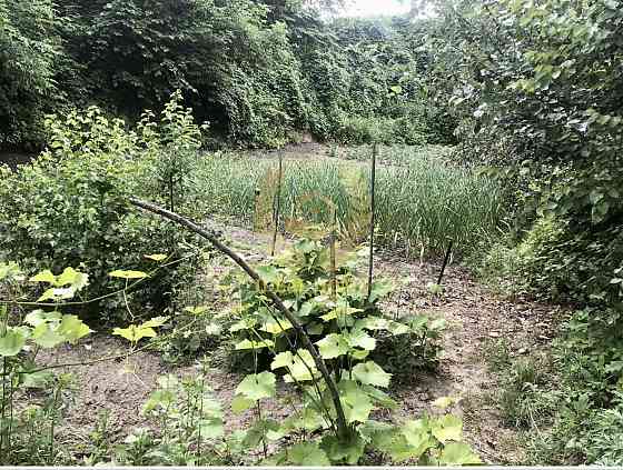 Продаж Будинок 3-кімнатний на Пироговская ул., 22 Khotiv