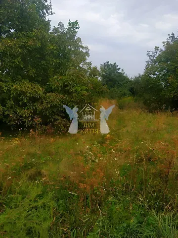 Продаж земельної ділянки  площа 10 сот Козацька вулиця Велика Березовиця - фото 16