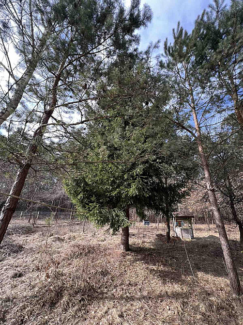 Продаж земельної ділянки 53 соток на вул. Шевченка Rodatychi - photo 7