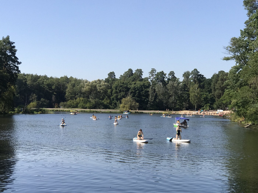 Продаж Квартира 1-кімнатна, 4/5 поверх на улица Квитки Цисык (Гамарника), д.32 Киев - изображение 4