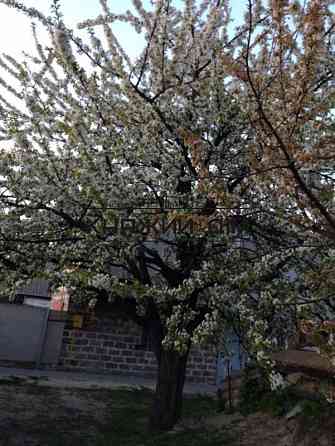 Продаж  Будинок з ділянкою 12 сот 85 кв.м   