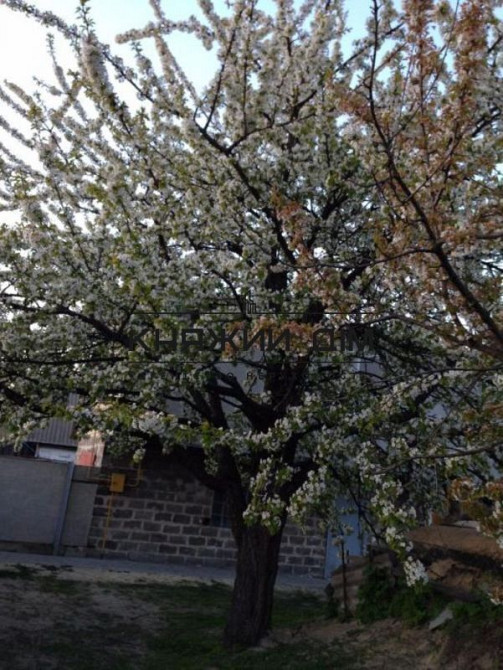 Продаж  Будинок з ділянкою 12 сот 85 кв.м    - фото 2