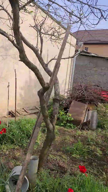 Продам дом в селе Красносёлка / Светлое, 5 км. от Одессы Красносилка - изображение 6