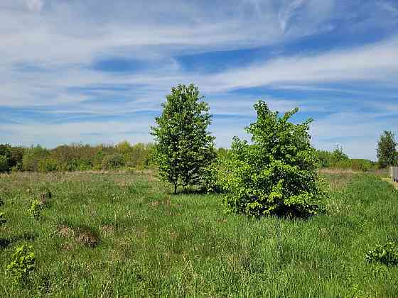 Продаж земельної ділянки 25 соток на Лесі Українки Kolodiivka