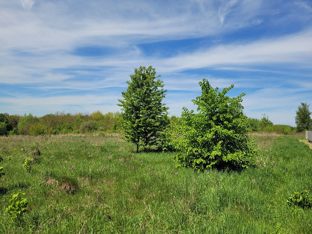 Продаж земельної ділянки 25 соток на Лесі Українки Kolodiivka - photo 5
