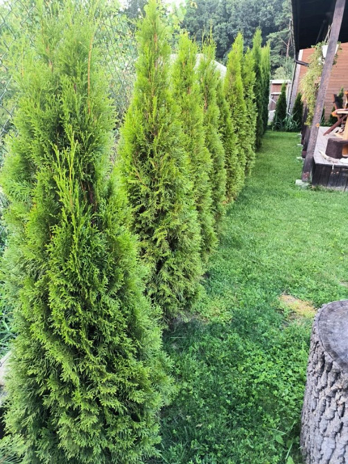 Продаж Квартира на улица Затишна Бартатів - фото 9