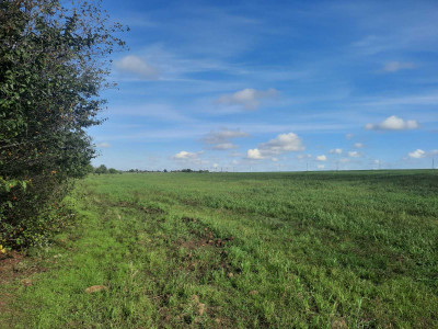 Продаж земельної ділянки 1.2 соток на ул. Массив 20, 1 Авангард - изображение 4