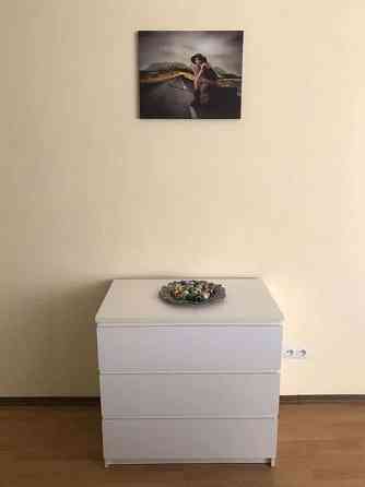 Оренда Квартира 1-кімнатна, 10/24 поверх на ул. Михаила Драгоманова Київ