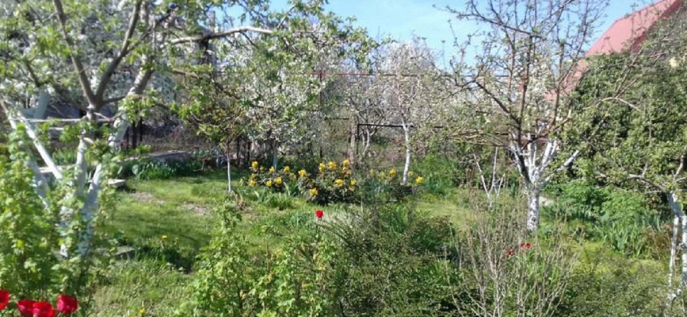 Продам ухоженный дом в Прилиманском Прилиманське - фото 10