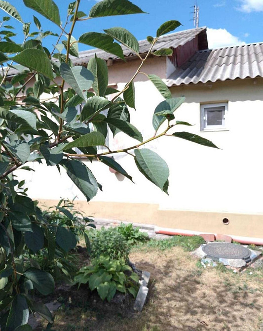 Продається будинок в Іличанці на 5 сотках землі.  - фото 5