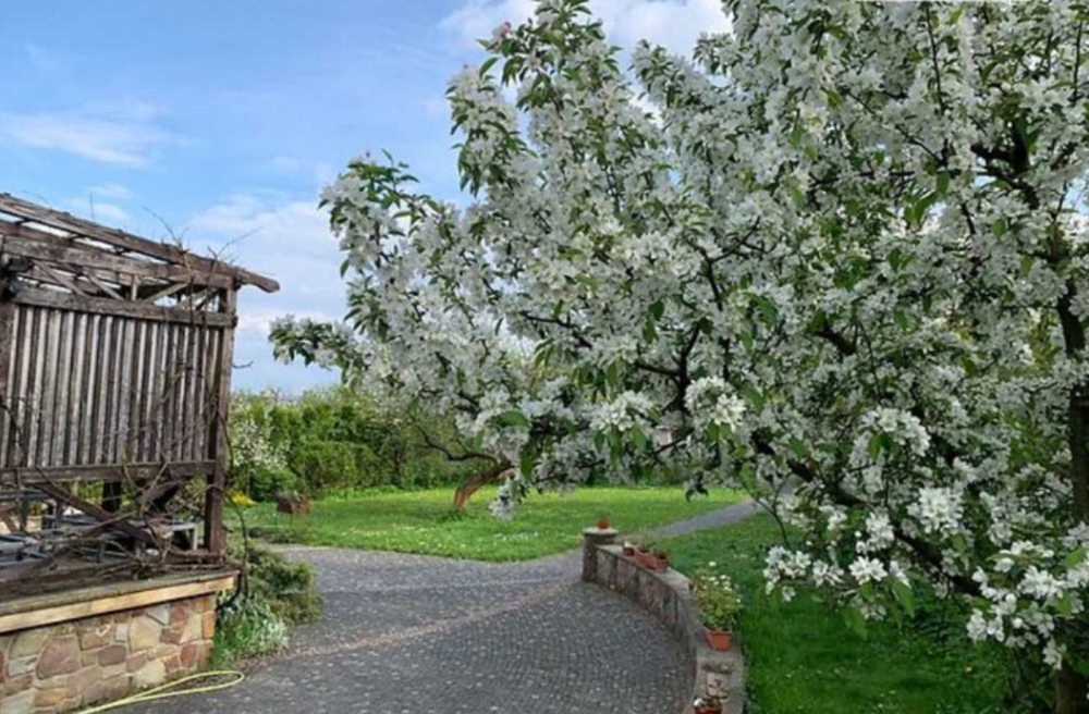 Продаж 2 поверхового будинку з каміном і ділянкою на 15 соток, 360 кв. м Тернопіль - фото 18