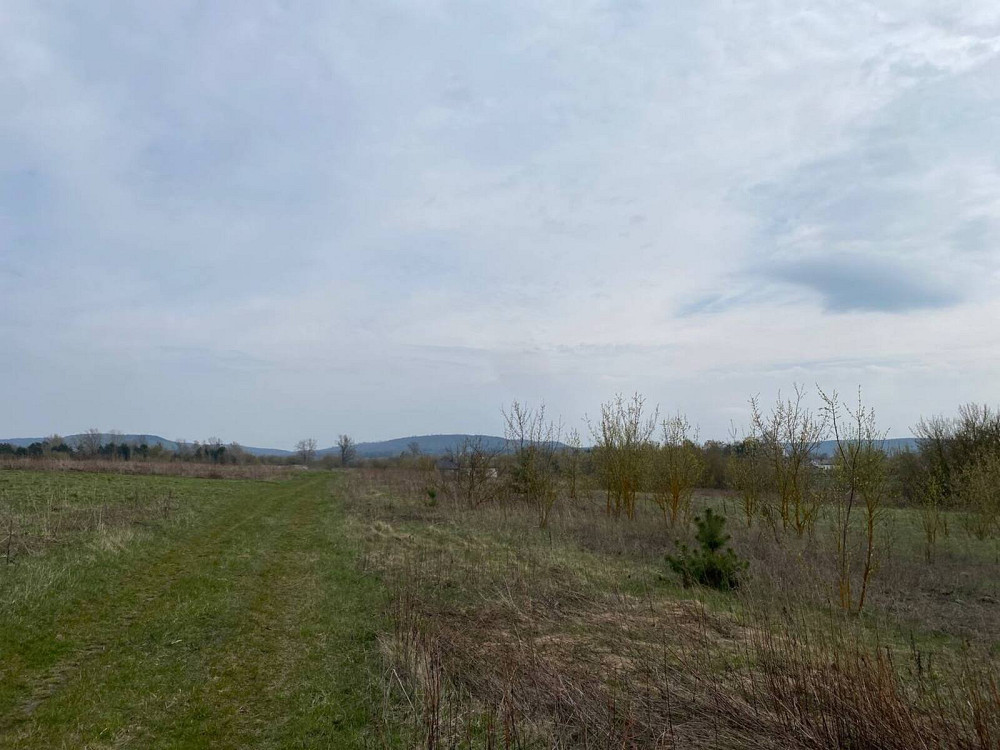 Продаж земельної ділянки 14 соток на мельника вячеслава  - изображение 13