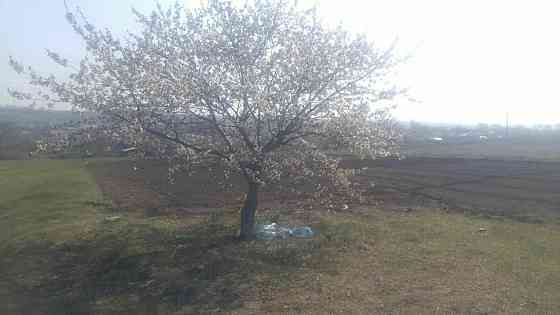 Продаж земельної ділянки 15 соток на АН Купи Дім Кропивницький