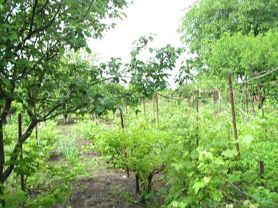 Продам дом в с. Выгода (40 км от Одессы) Vyhoda