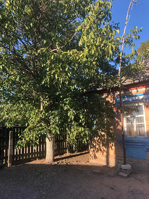 Продається будинок із садом та виходом до річки Високі Байраки - фото 3