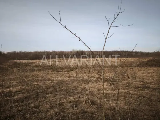 Продаж земельної ділянки Для сільськогосподарської діяльності площа 1191 сот Польова Середнє