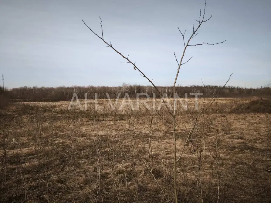 Продаж земельної ділянки Для сільськогосподарської діяльності площа 1191 сот Польова Середнє - фото 1