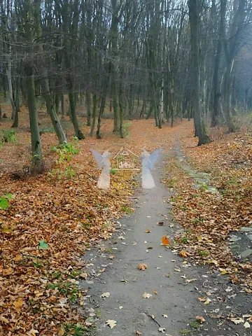 Продажа земельного участка  площадь 43 сот Лісова вулиця 1  - изображение 4