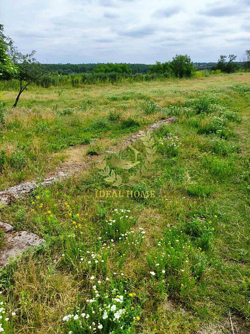Продаж земельної ділянки 45 соток на Леси Украинки ул., 24  - фото 6