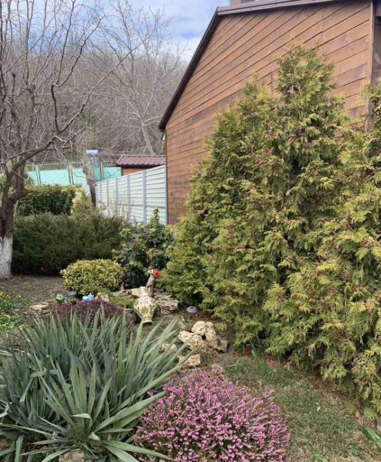 2 этажный дом со сруба на Даче Ковалевского Одеса - фото 8