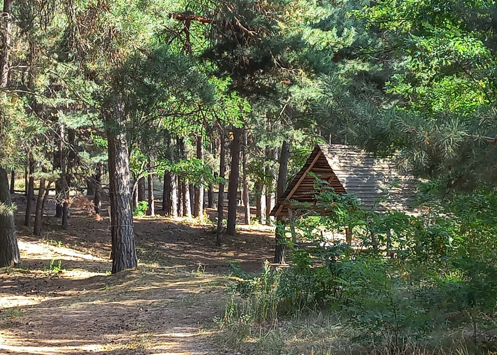 Продаж земельної ділянки 7.6 га на улица Днепровская, д. Канев - изображение 3