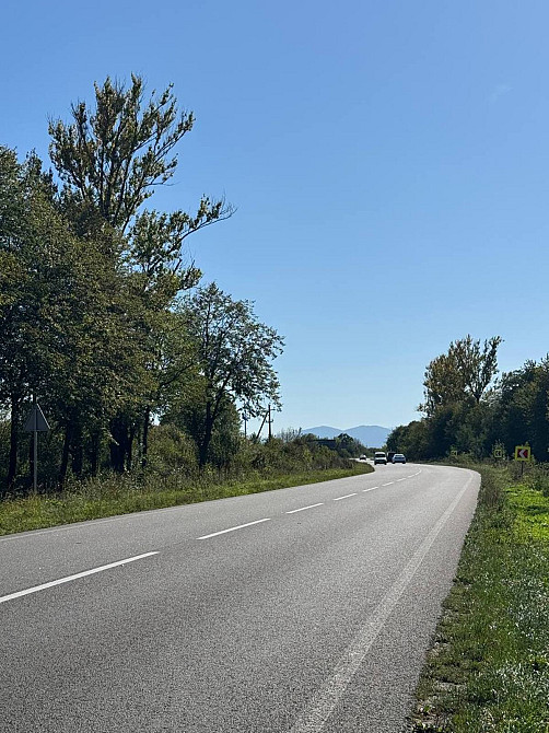 Продаж земельної ділянки 1.1 га Tsutsyliv - photo 8