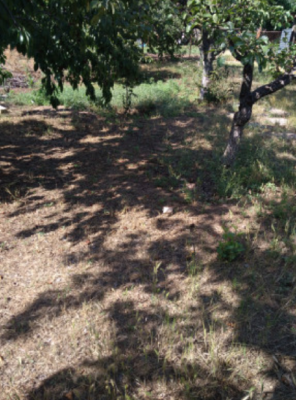 Продаж земельної ділянки 0.1 соток на ул. Массив 11, 12/10а Limanka