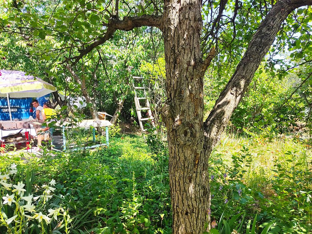 Продается жилой дом с.  Нерубайское (НАТИ) Нерубайське - фото 10