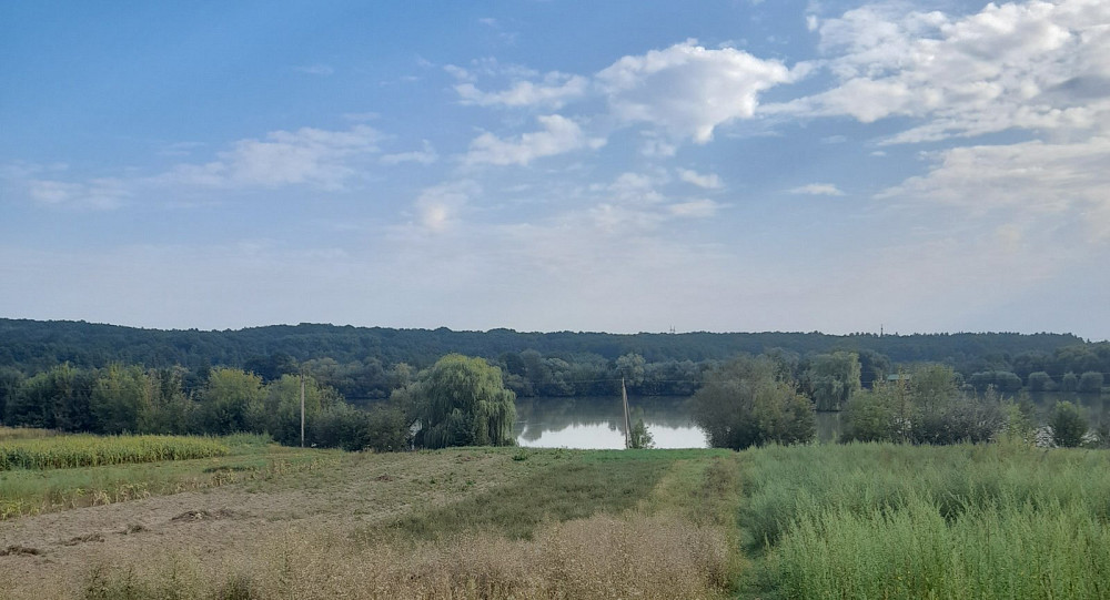 Продаж Будинок Селище (Козятинський район) - фото 20