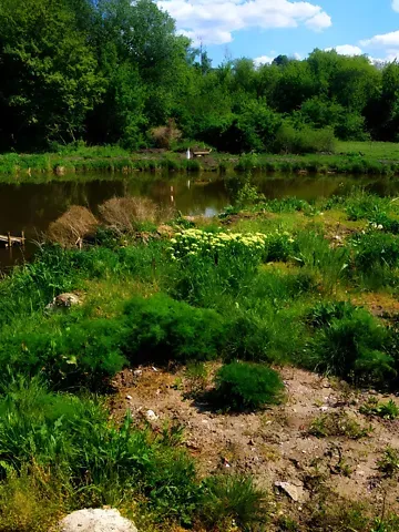 For sale land plot  area 40 ares Будного вулиця  - photo 16