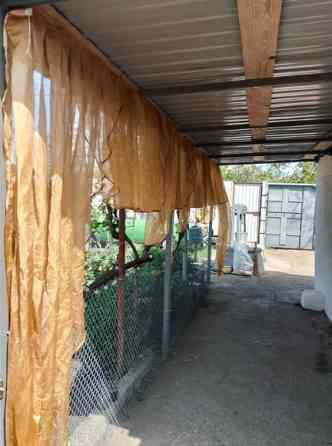 Продам дом в Светлом — уютный домик 45 кв.м на главной улице Світле