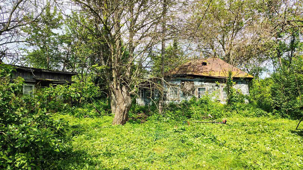 Продаж земельної ділянки 48 соток на Мічуріна  - фото 3