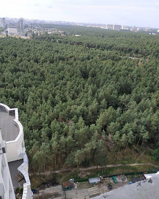 Продаж Квартира 1-кімнатна, 21/25 поверх на Світла, 3Д Київ - фото 4