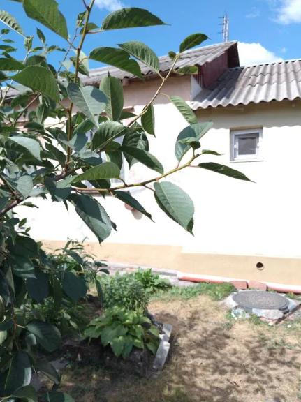 Продам будинок в Одесі (вул.Паустовського)  - фото 19