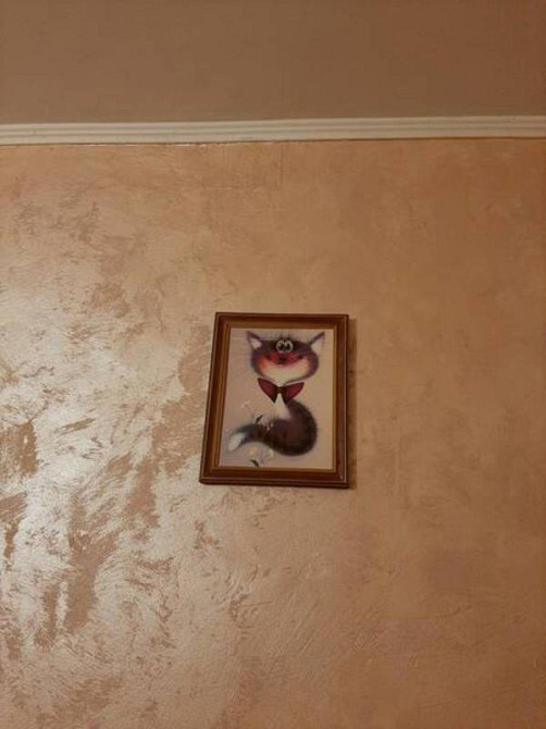 Оренда Квартира 3-кімнатна на Здолбуновская ул. Київ - фото 7