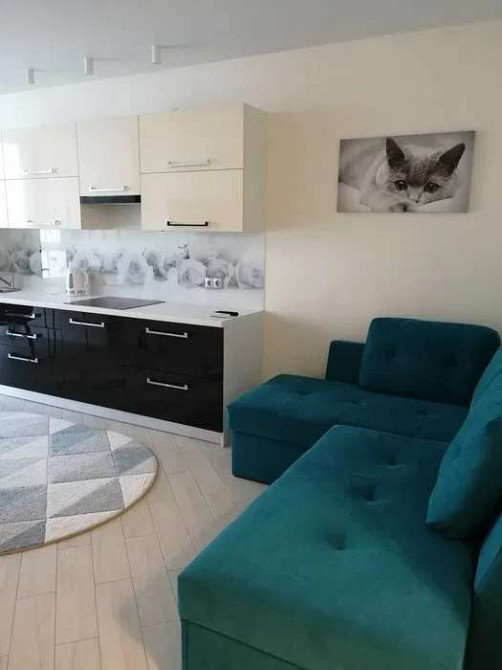 Оренда Квартира 2-кімнатна, 7/25 поверх на ул. Михаила Драгоманова Київ - фото 5