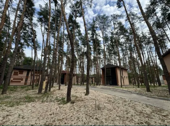 Продаж 2-поверховий Котедж 140 кв.м 3 кімн. на мичурина Орлівщина