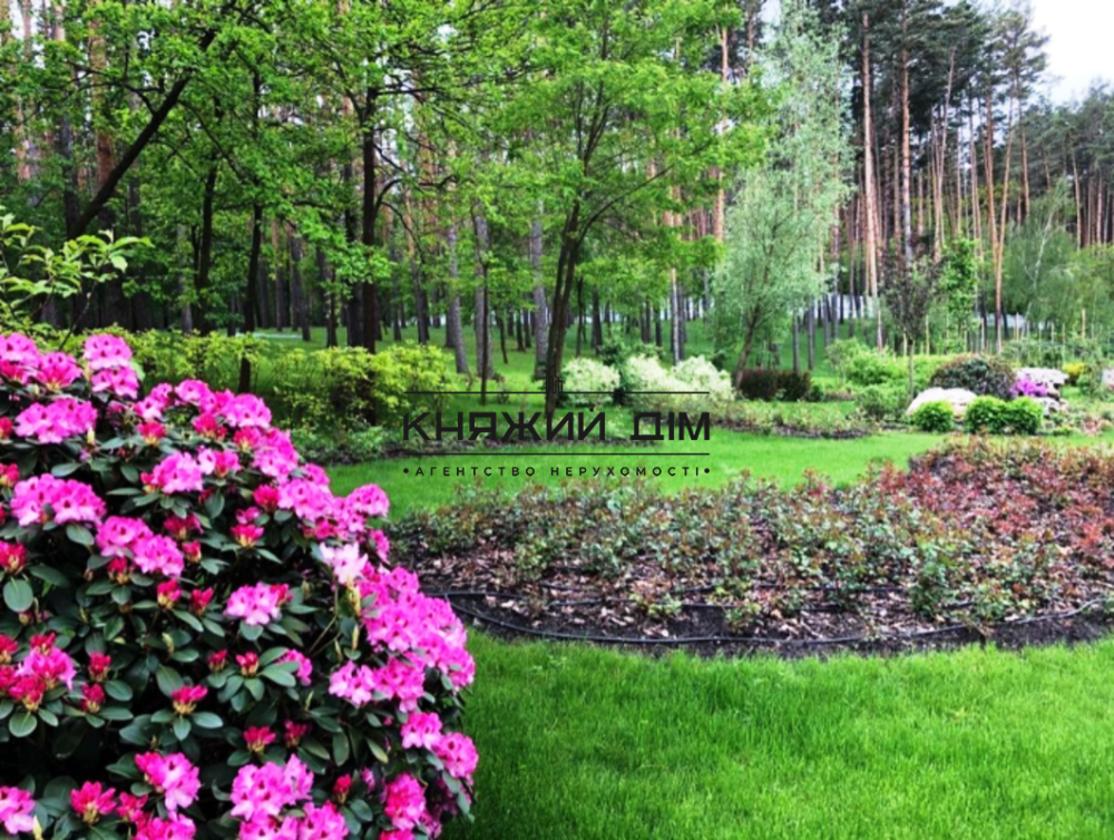 Продаж 2-поверховий Будинок з ділянкою 20 сот 800 кв.м   Стоянка - фото 10