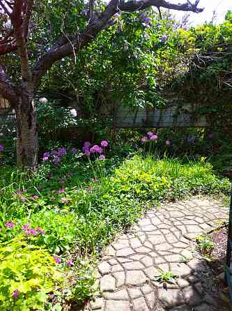 Дом в городской черте. Одеса