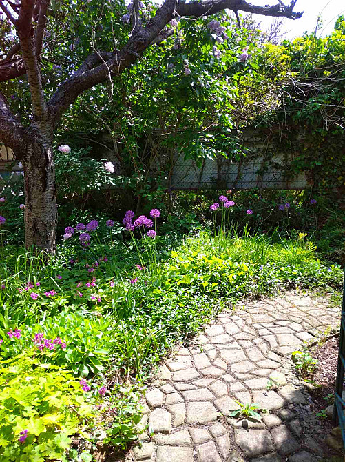 Дом в городской черте. Одеса - фото 3