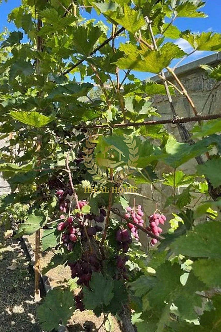 Продам будинок в Устимівці Устимівка - фото 20