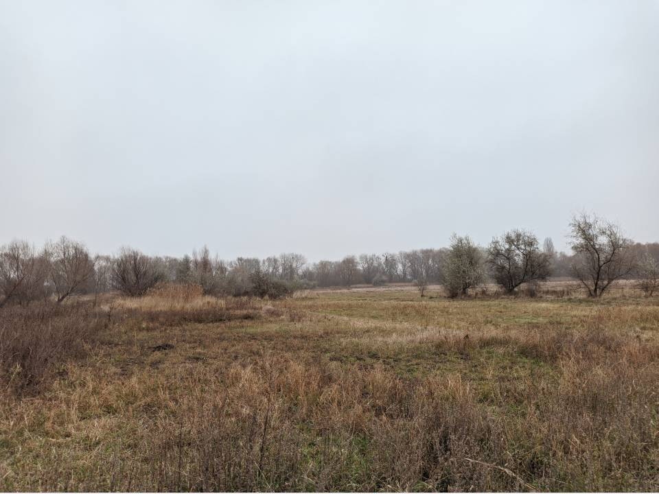 Продаж земельної ділянки на , Коржова Слобода - фото 1