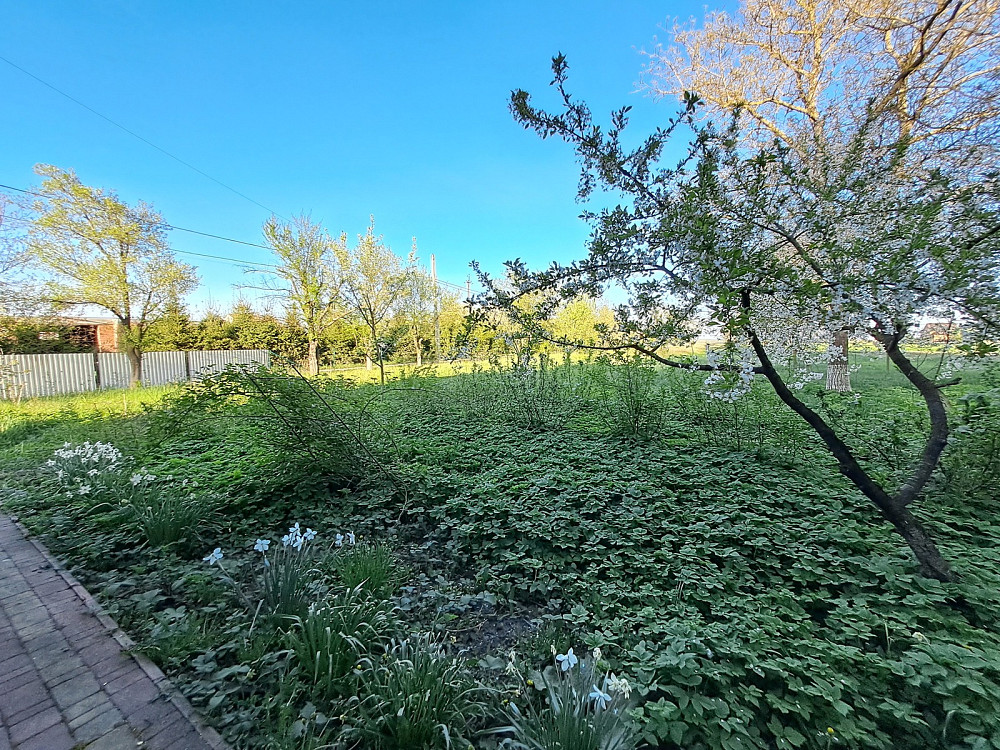Продаж заклад громадського харчування на Хмельницького Б. вул., 2 поверх - 1/2 Жизномир - фото 19
