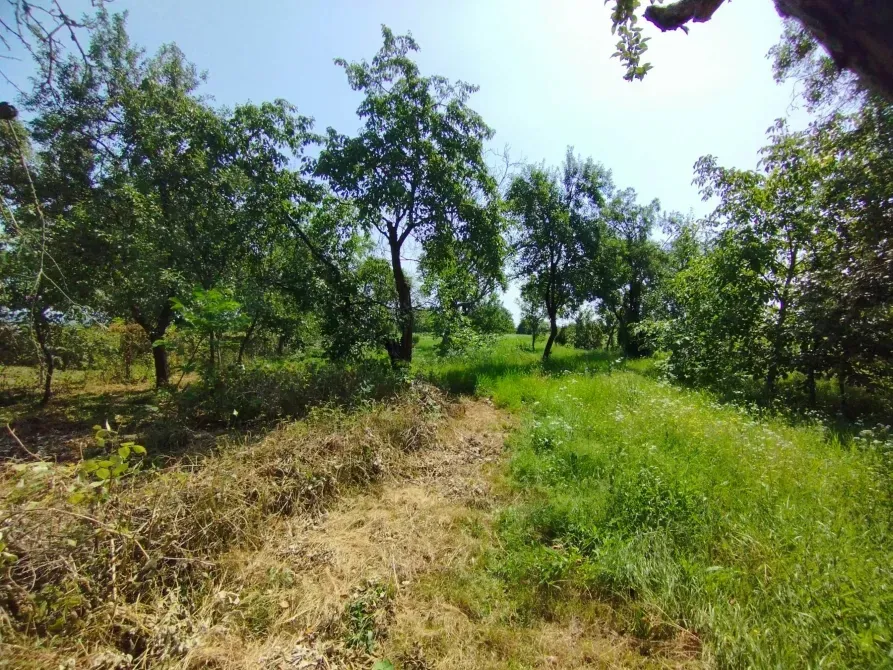 For sale 1-storey House  90 sq.m 3 rooms at Центральна Uzhhorod - photo 10