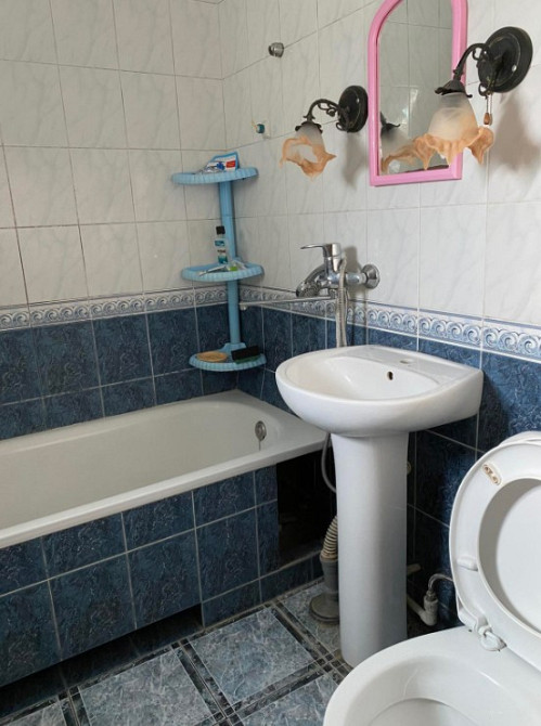 Продам дом в Лесках возле моря Ліски (Комінтернівський район) - фото 7