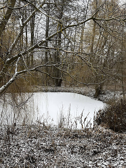 Продаж Будинок Селище (Козятинський район) - изображение 17