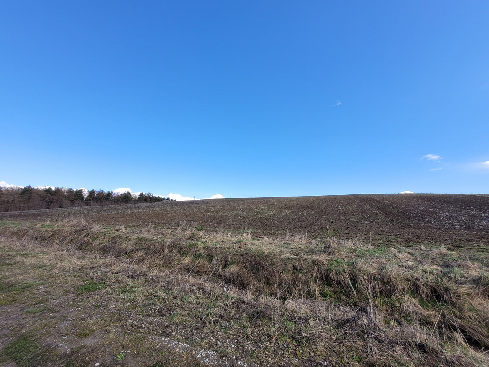 Продаж земельної ділянки 3.76 га Kolodiivka - photo 3