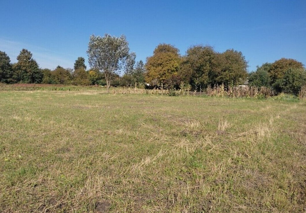 Продаж земельної ділянки 9 соток на Кременецька Боновка - изображение 6